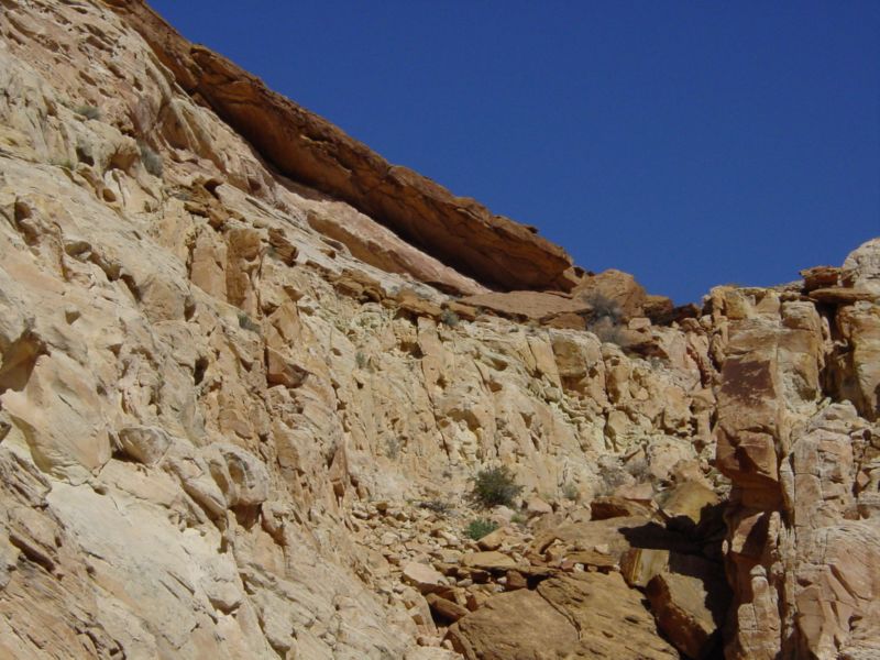 04160302LittleWildHorse (1104)